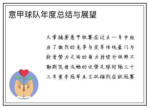 意甲球队年度总结与展望